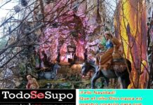 Historia del pesebre, nuestra tarjeta de Navidad