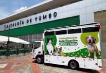 Yumbo ya cuenta con su Unidad Móvil de Esterilizaciones: muy pronto llegará para fortalecer el bienestar animal