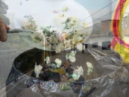 Del plato al relleno: el desperdicio de comida que las ciudades todavía pueden evitar